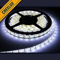 New products flexible high brightness smd3528 led light strip 1