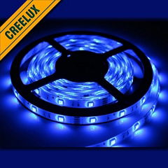 High quality factory price decoration for homes blue strip light with led strip 