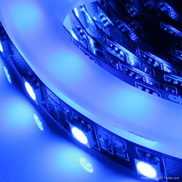 Shenzhen supplier single color DC12V 300leds smd flexible led strip 5050 3