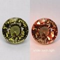 g2.66 Ct. Loupe Clean Natural Color