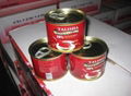 Tomato Paste with Canned Packing 3