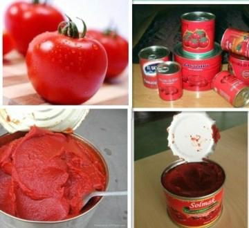 Tomato Paste with Canned Packing 4