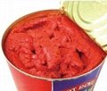 Tomato Paste with Canned Packing 5