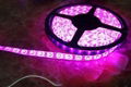 Waterproof LED Decorative Flexible Strip