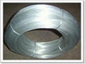 Electro Galvanized Wire 1