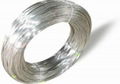 Galvanized Iron Wire 1