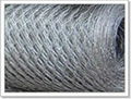 Hexagonal wire mesh