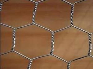 Hexagonal Wire Mesh