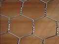 Hexagonal Wire Mesh 1