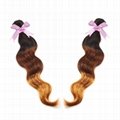 Free Shipping 3 tone colors Virgin Brazilian Human Hair 5A Grade  hair extension 2