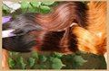 Free Shipping 3 tone colors Virgin Brazilian Human Hair 5A Grade  hair extension 4