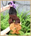 Free Shipping 3 tone colors Virgin Brazilian Human Hair 5A Grade  hair extension 5