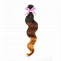 Brazilian Human HairFree Shipping 3 tone colors Virgin  5A Grade  hair extension