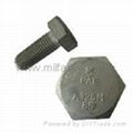 Heavy Hex Bolts