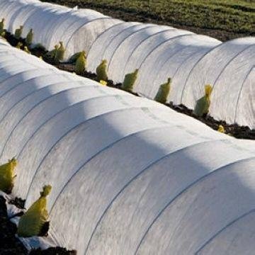 PP Weed Control Nonwoven Fabric (Greatech 01-002) 2