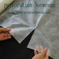 Perforation Nonwoven Fabric (Greatech