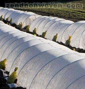 Extra Width Nonwoven(3.2m-36m) for Agriculture 2