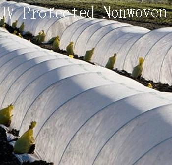  1%-5% UV Resistant Nonwoven Fabric (Greatech 01-001) 3