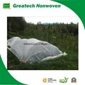 TNT Non Woven Fabric for Vegetable Cover 3