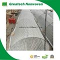 TNT Non Woven Fabric for Vegetable Cover 4