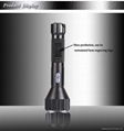 flashlight DVR 3