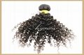FREE SHIPPING WHOLESALE Curl Wavy Hair