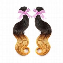 Bundles Brazilian Virgin Hair Weaving