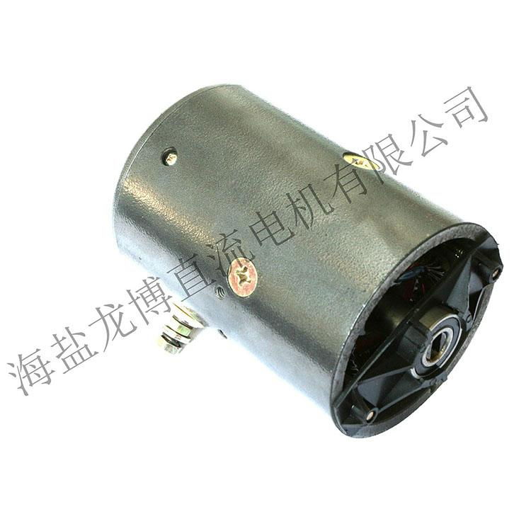 12 v and 24 v pump has a brush dc motor groove a word