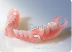 Dental Valplast Denture with set up teeth