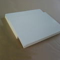 Adhesive Cleaning Pad