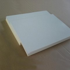 Adhesive Cleaning Pad