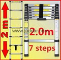 2 m Telescopic ladder  