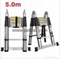 3 position telescopic ladder  5.0m 1