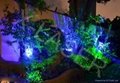 outdoor waterproof blue static firefly garden laser light for christmas