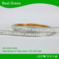 220V SMD5050 Blue LED strip light 1