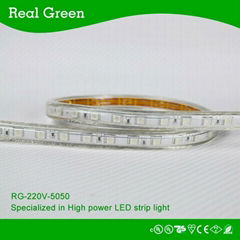 220V SMD5050 Blue LED strip light