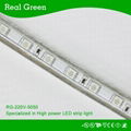 220V SMD5050 Blue LED strip light 2