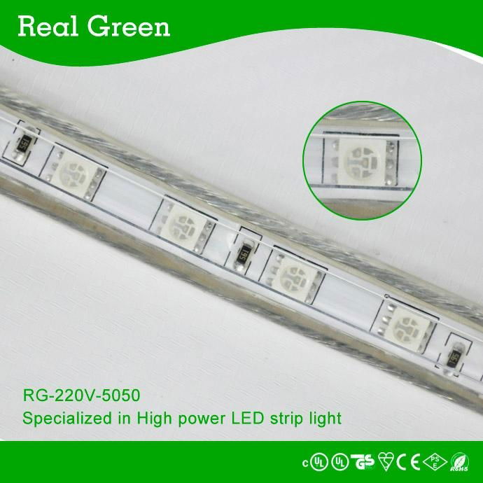 220V SMD5050 Blue LED strip light 3