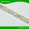 12V SMD5050 LED Flexible Strip light Blue 2