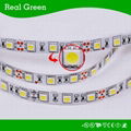 12V SMD5050 LED Flexible Strip light Blue 3