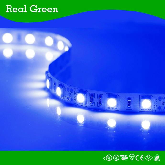 12V SMD5050 LED Flexible Strip light Blue 5