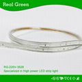 220V SMD3528 48pcs LED strip light 5