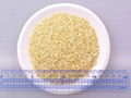 Garlic Granule 2