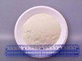 Onion powder