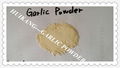 Garlic powder 2