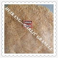 Garlic Granule 4