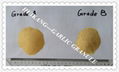 Garlic Granule 5