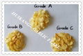 Garlic Flake 1