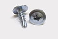 Wafer head self drilling screw