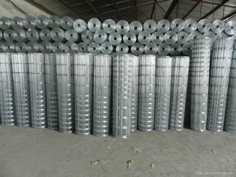 galvanized welded wire mesh 2